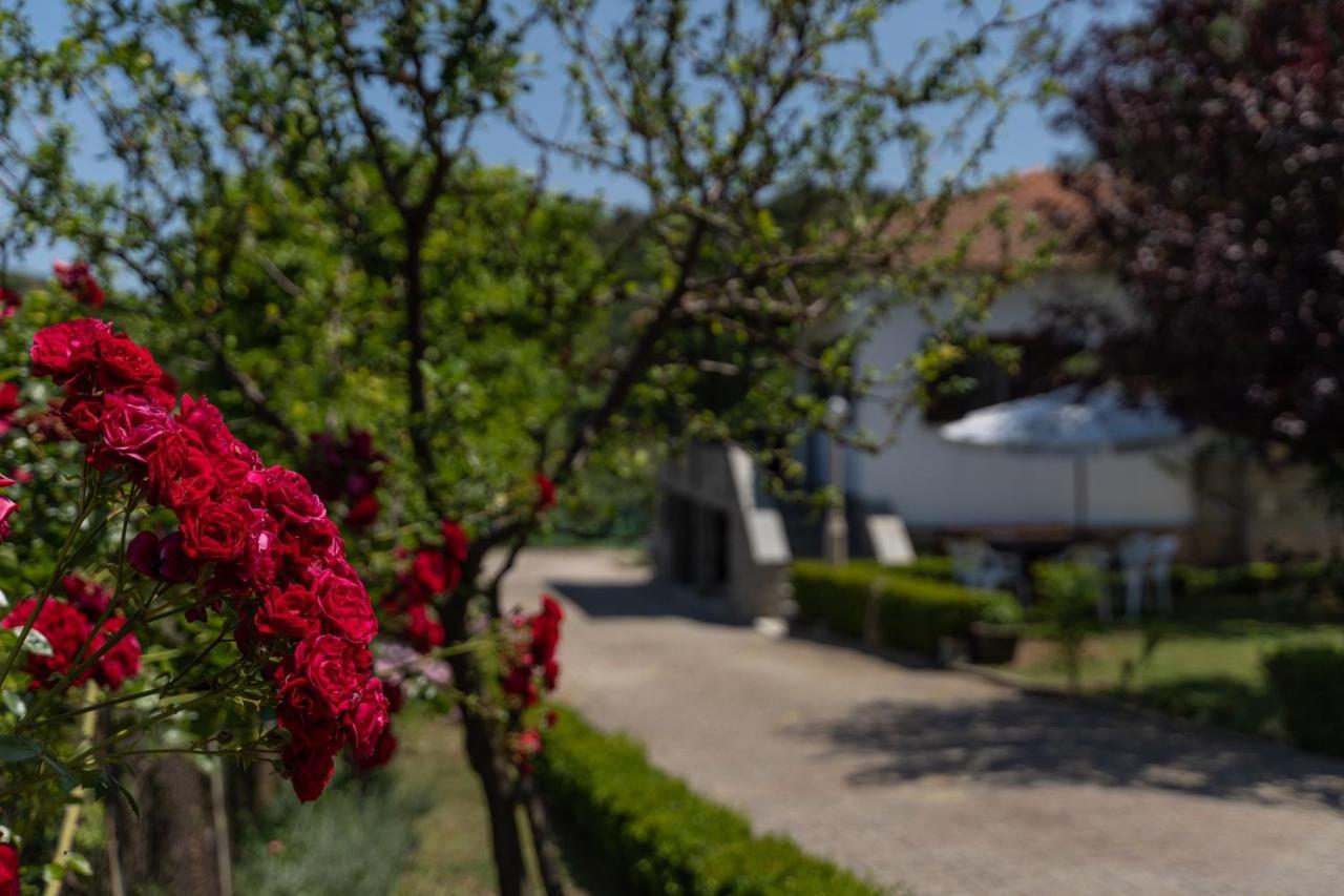 Sotiria House Apartment Sea View Lovely Garden Ierissos Exterior foto